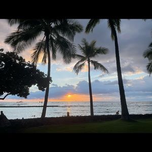 🌟🌟 ! POSH AMBASSADOR 🌟🌟CURRENT CLOSET FOR SALE UNTIL THIS FRIDAY MORNING!